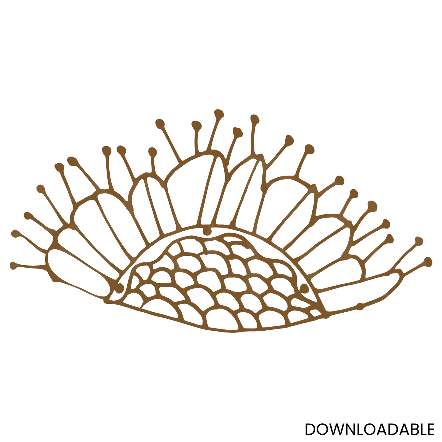 Hand-Drawn Leaf Outline for Engraving